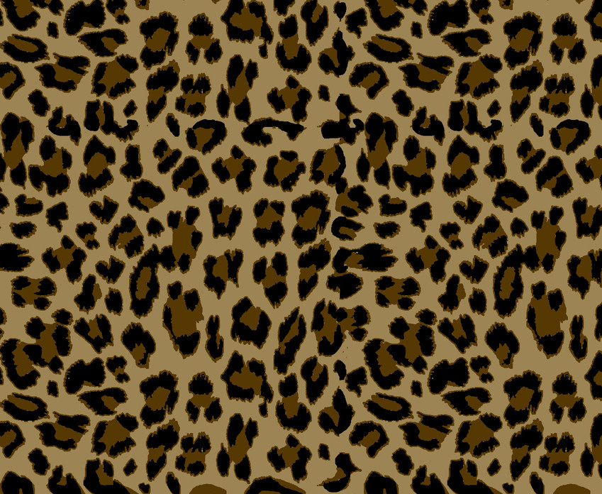 Leopard Pattern – psddots